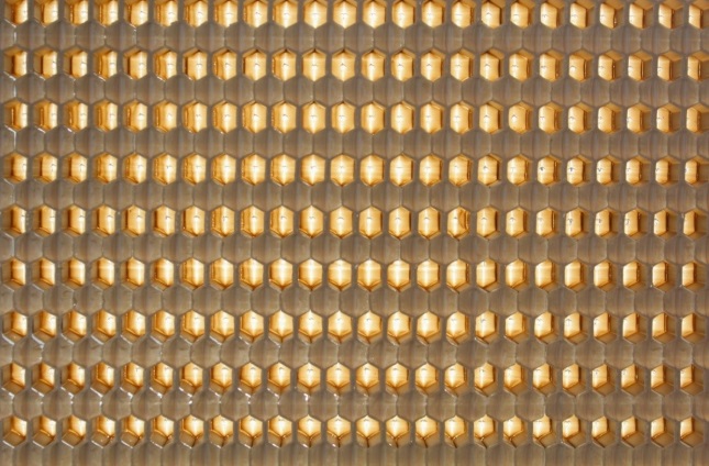 EconCore has developed new honeycomb cores for laminated sandwich panels made with SABIC’s NORYL GTX™ resin, a polyphenylene ether (PPE) blend, and EconCore’s proprietary technology. (Courtesy of EconCore)