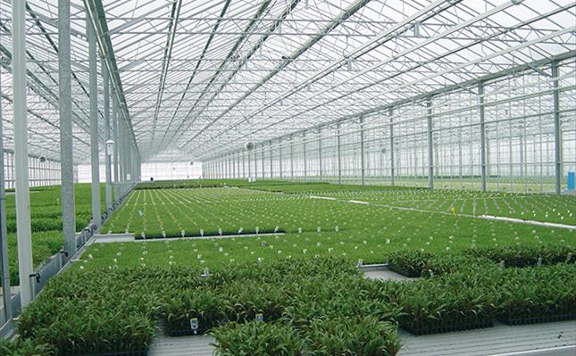 SABIC Greenhouses