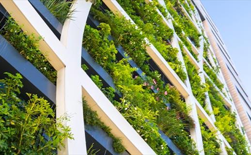 Architecture greener future